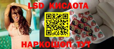 гашик Кулебаки