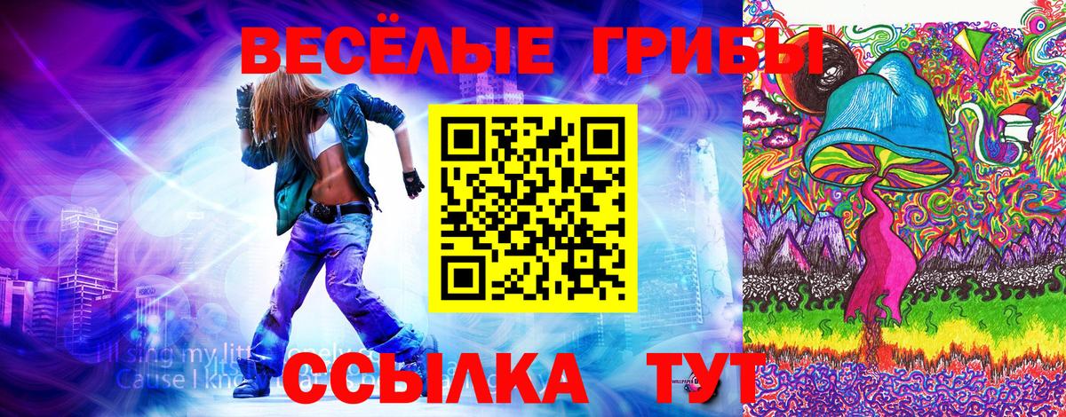 Казань  Псилоцибиновые грибы ЛСД  Вход с VPN  Галлюциногенные грибы Magic Shrooms 